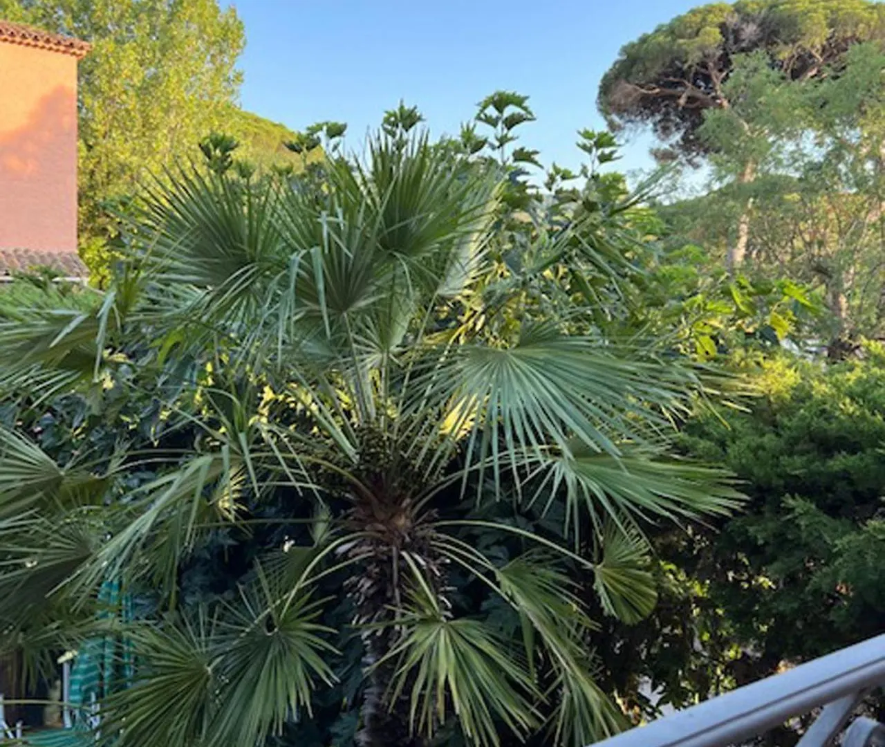 Superbe Appartement Terrasse Et Parking Prive Saint-Tropez Apartment